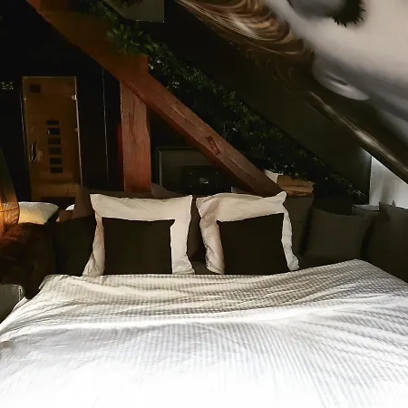 Appartement Superbe Duplex Avec Sauna Et Hammam *