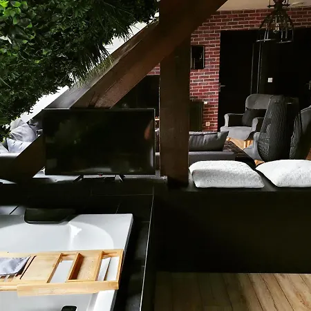 Appartement Superbe Duplex Avec Sauna Et Hammam