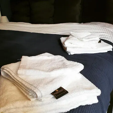 Superbe Duplex Avec Sauna Et Hammam