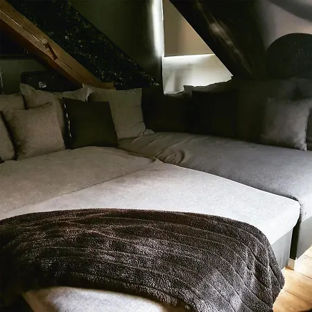 Superbe Duplex Avec Sauna Et Hammam Mulhouse