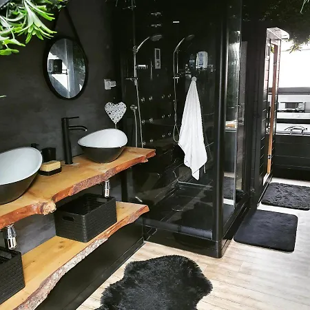 Superbe Duplex Avec Sauna Et Hammam Mulhouse