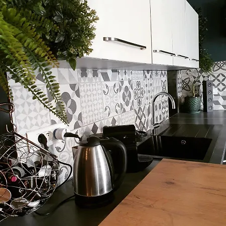 Superbe Duplex Avec Sauna Et Hammam Mulhouse