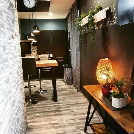 Διαμέρισμα Superbe Duplex Avec Sauna Et Hammam Μυλούζη