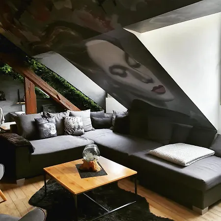 Superbe Duplex Avec Sauna Et Hammam Appartement Mulhouse