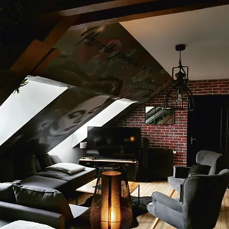 Superbe Duplex Avec Sauna Et Hammam Appartement Mulhouse